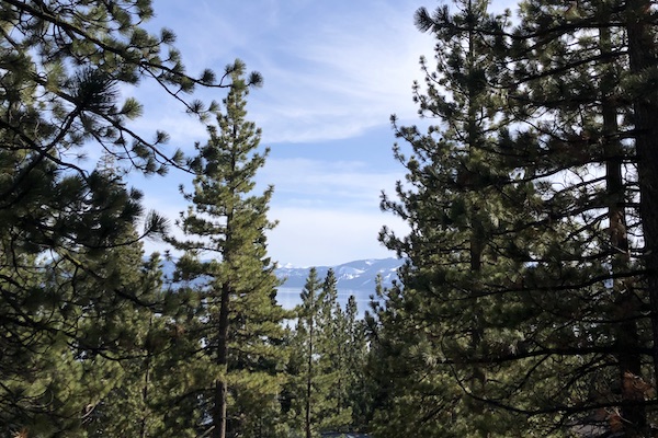 View out toward Tahoe Lake